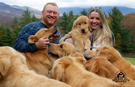Golden retriever farm vermont - The Jeffersonville, Vermont-based couple created the Golden Retriever Experience, where people from near and far visit their farm and canoodle with a happy of golden retrievers — the collective term for a group of goldens — for a designated amount of time. The one-of-a-kind experience, which Doug started in September 2023, started …